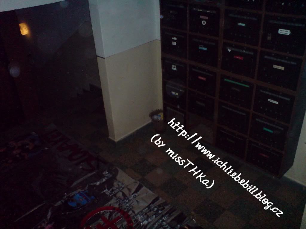 DSC00374.jpg picture by Sabkad