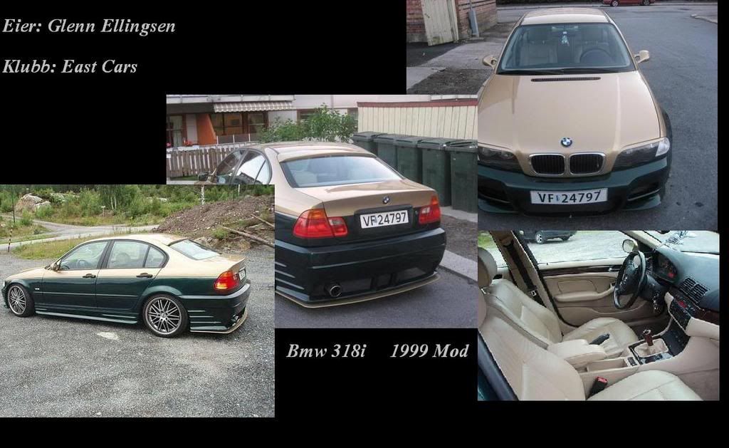 Paintlekmedbmw.jpg