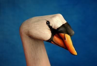 Hinh4.jpg