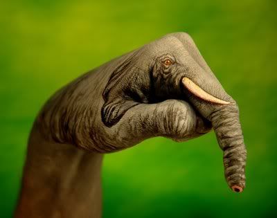 Hinh9.jpg