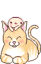 kapook_34272.gif