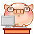 pig2.gif