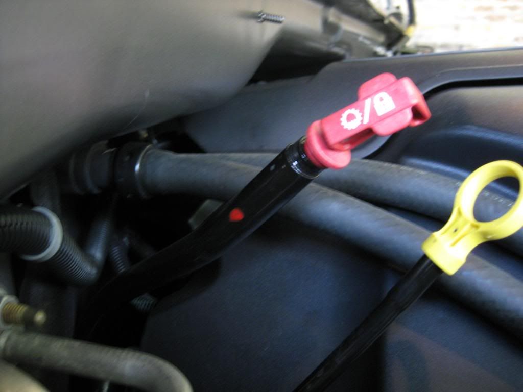 Suzuki Forenza Transmission Fluid Dipstick Suzuki Forenza Transmission Fluid Dipstick