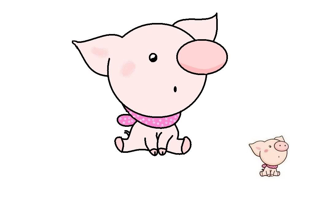 pig