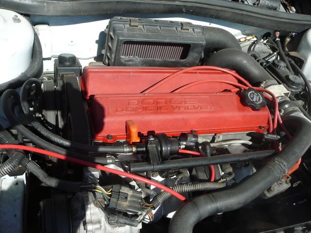 88 Shelby CSX-T(TIII) - Texas - Turbo Dodge Forums : Turbo Dodge Forum for Turbo Mopars, Shelbys, Dodge Daytona, 