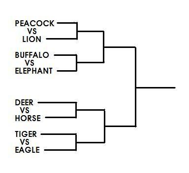 Bracket