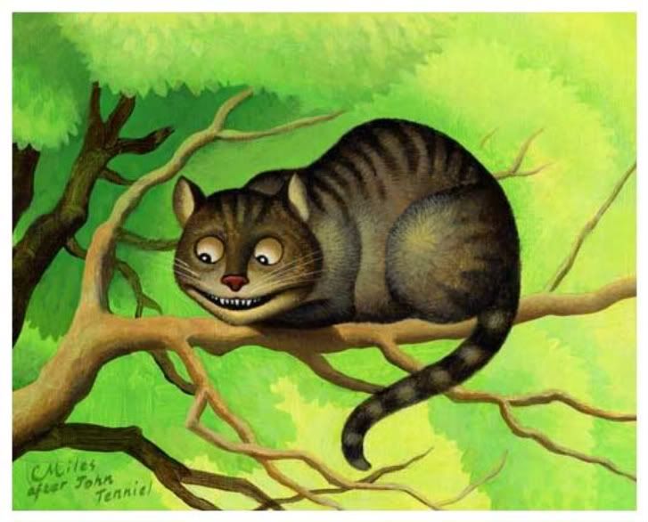 cheshire cat 2010. A Cheshire Cat.