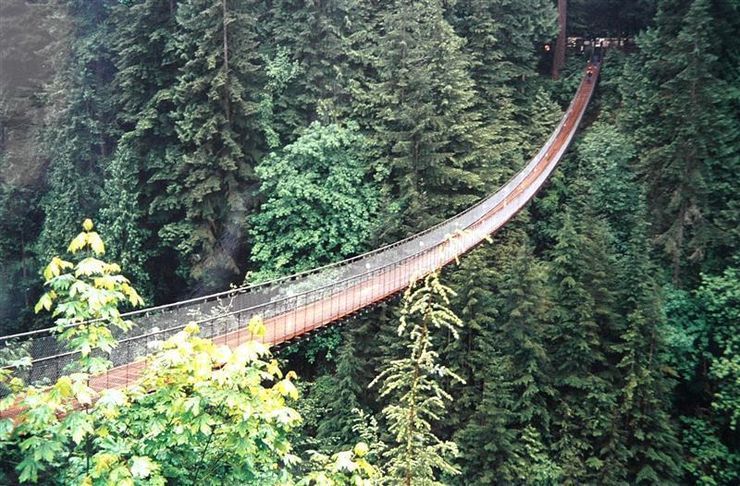 Beautiful Bridge