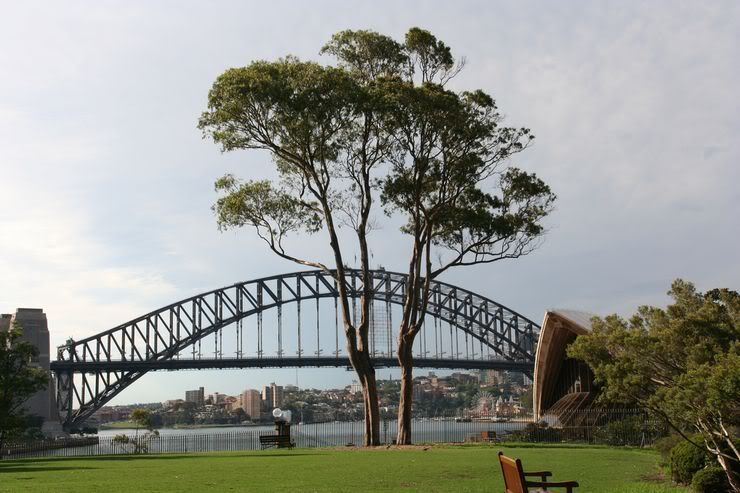 Beautiful Bridge