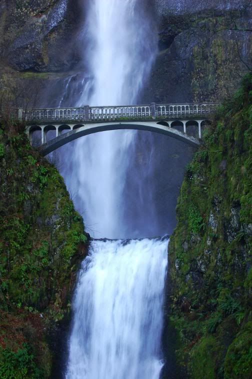 Beautiful Bridge