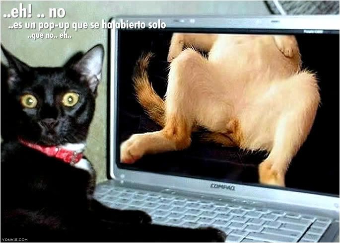 [Image: 13112007133024.jpg]