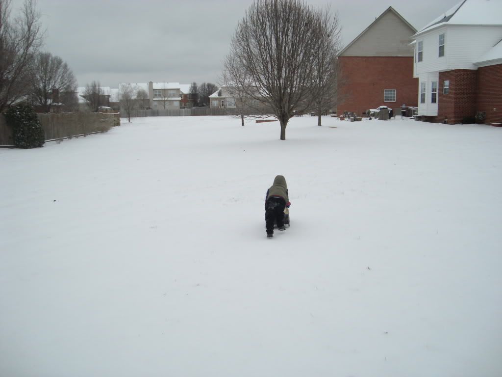 Winterpics2010002.jpg