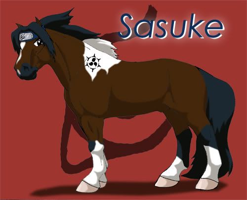 OMGsasukeisapony.jpg sasuke horse image by crazysocks53