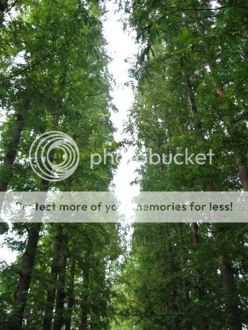 扬州~扬州!大黄,恭喜你有lp了