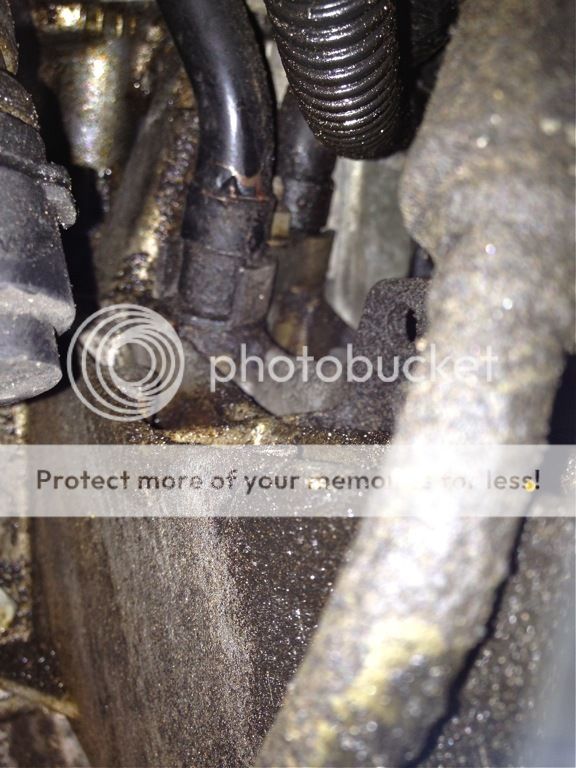 540i Oil Leak - Motor Mount on Driver's side | BimmerFest BMW Forum