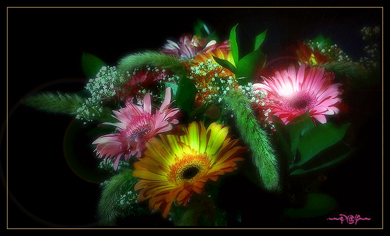 flower gif photo: animated flower 22.gif