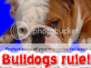BulldogAdd-On1.png