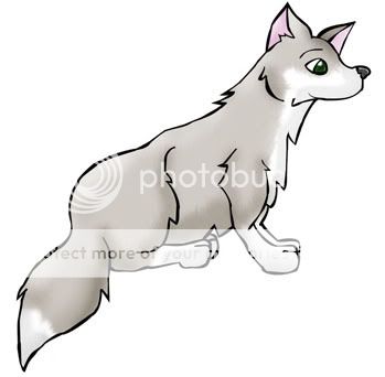 HuskyColoring1small.jpg