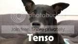 Avatar do usuário