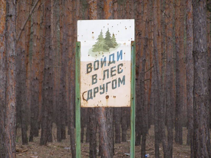 friend-forest