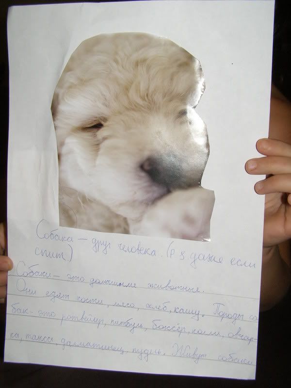 Dogs-friends1