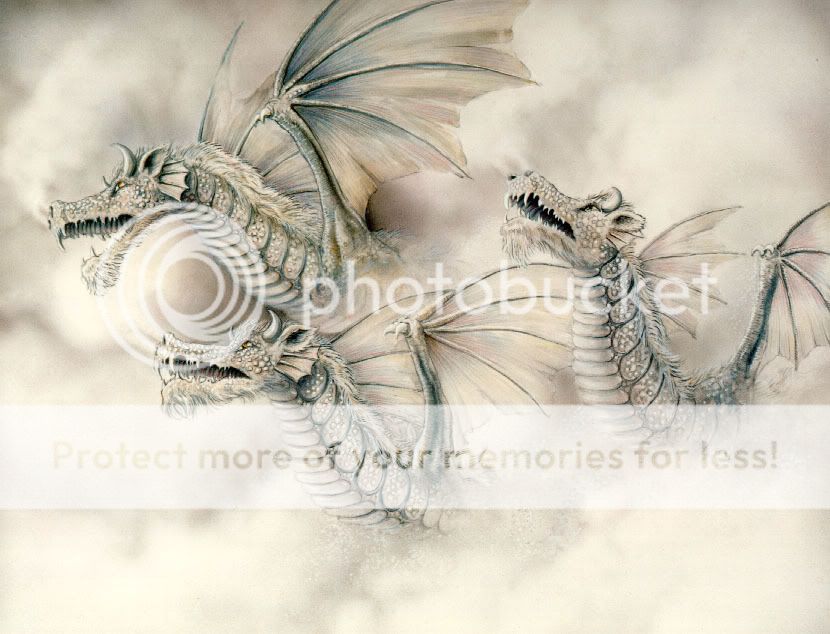 dragons Pictures, Images and Photos