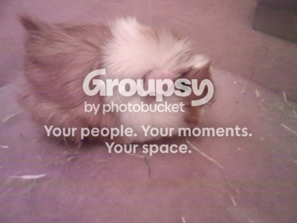 SP_A0016.jpg