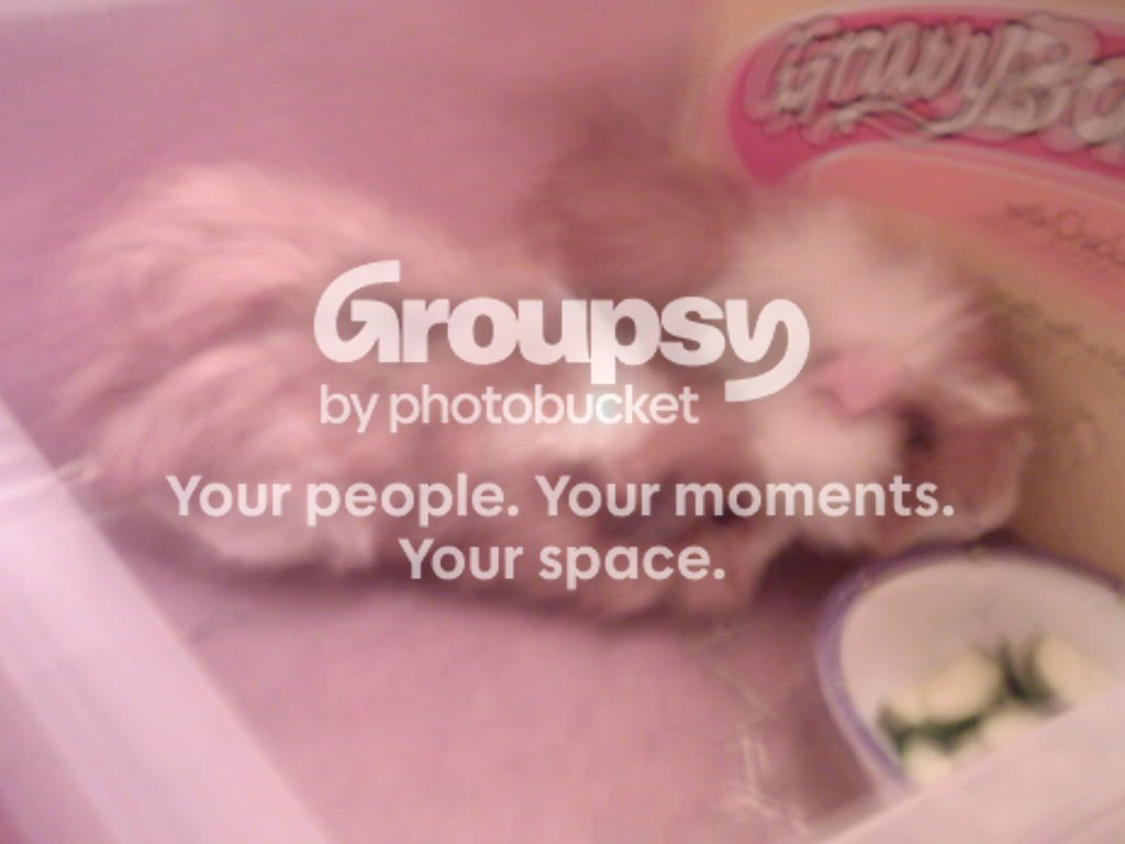 SP_A0021.jpg