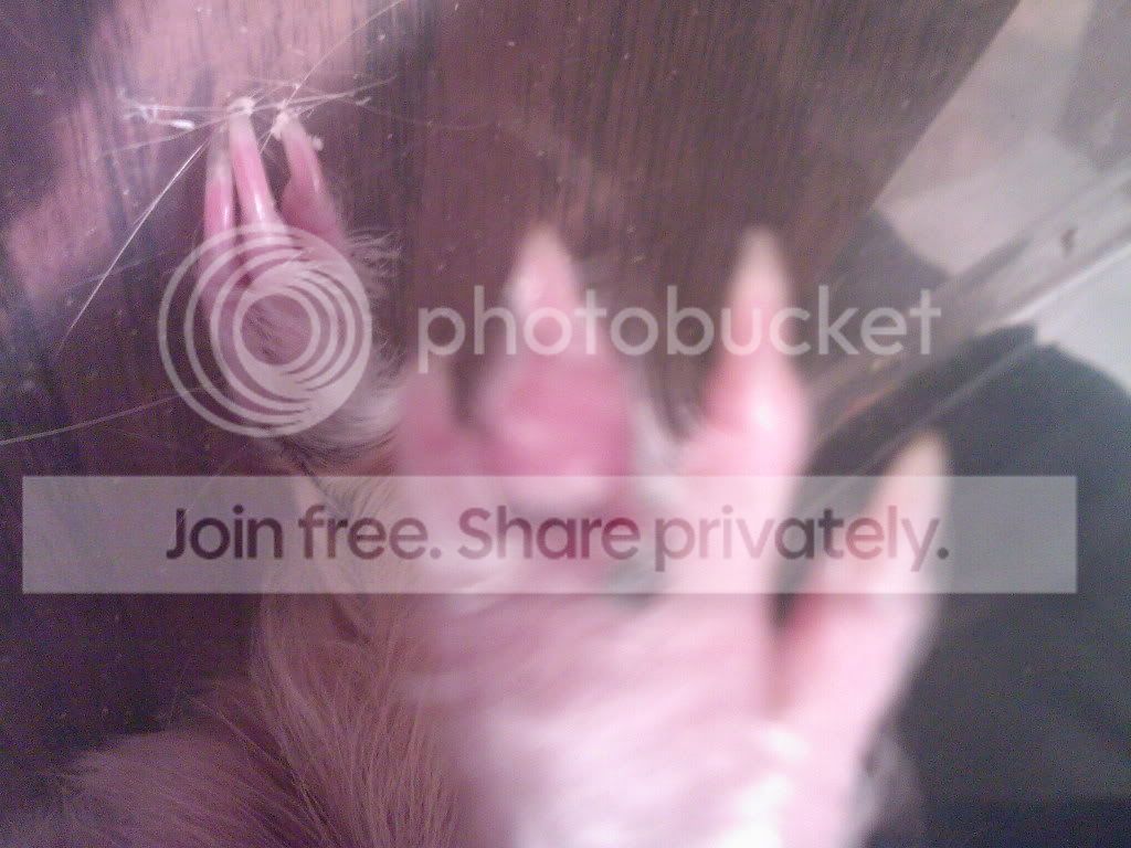 SP_A0031.jpg