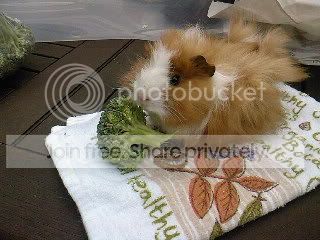 SP_A0154.jpg